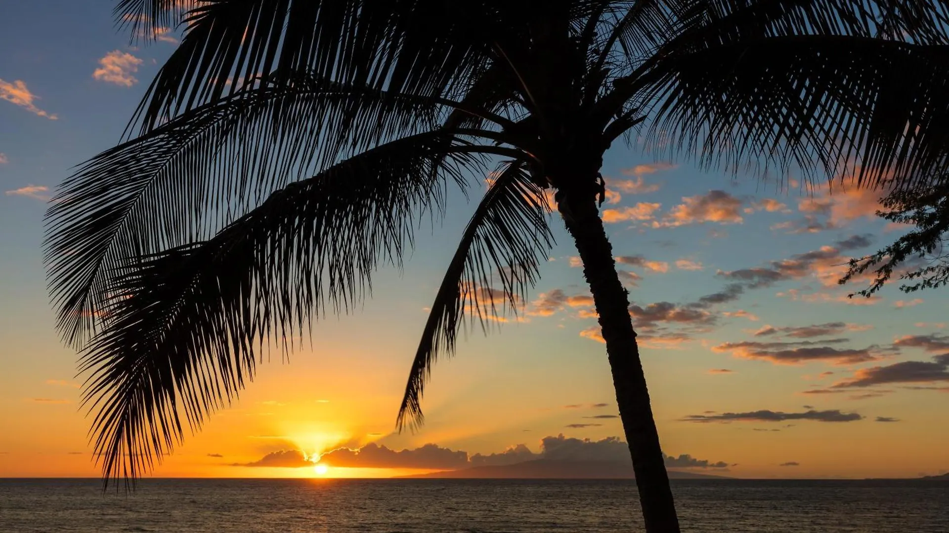 Casa vacanze Napili Shores E240 Kahana