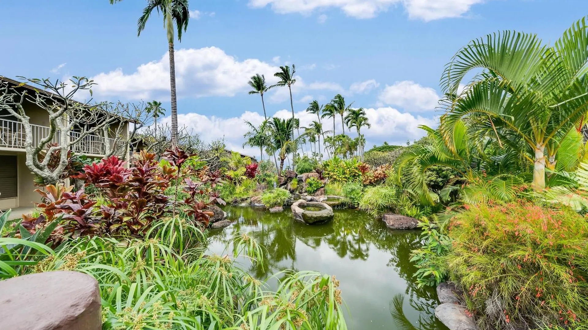 Napili Shores E240 Kahana Casa vacanze