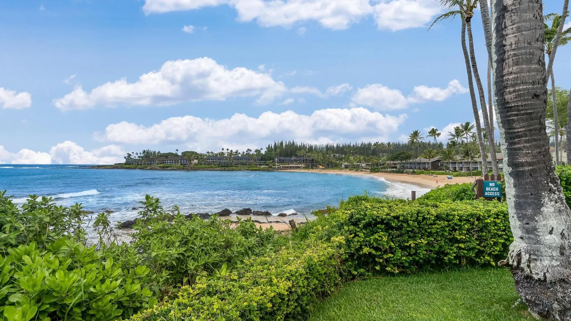 Napili Shores E240 Kahana 0*,  Stati Uniti