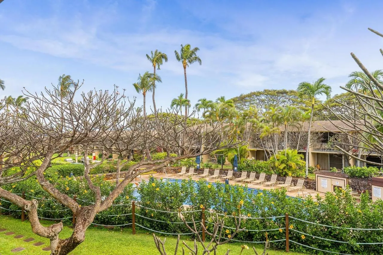 Napili Shores E240 Kahana